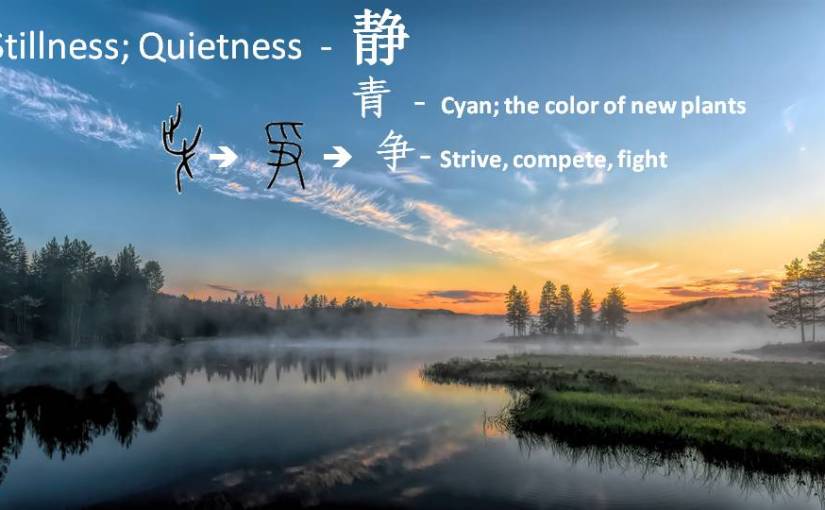 静: Stillness is the Biggest Movement